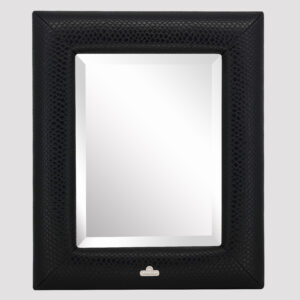 Spiegel met slangenleer 48x40cm