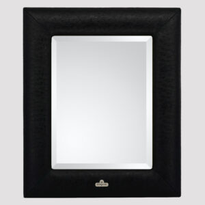 Spiegel met struisvogelleer 48x40cm