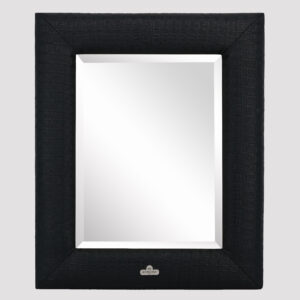 Spiegel met adderleer 48x40cm